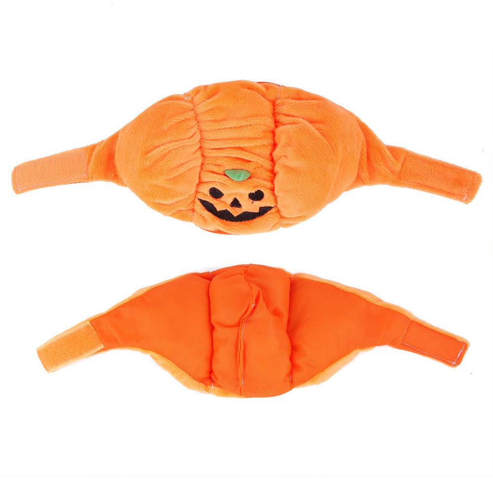 Purrfect Pumpkin Pet Hat: Adorable Halloween Costume For Cats And